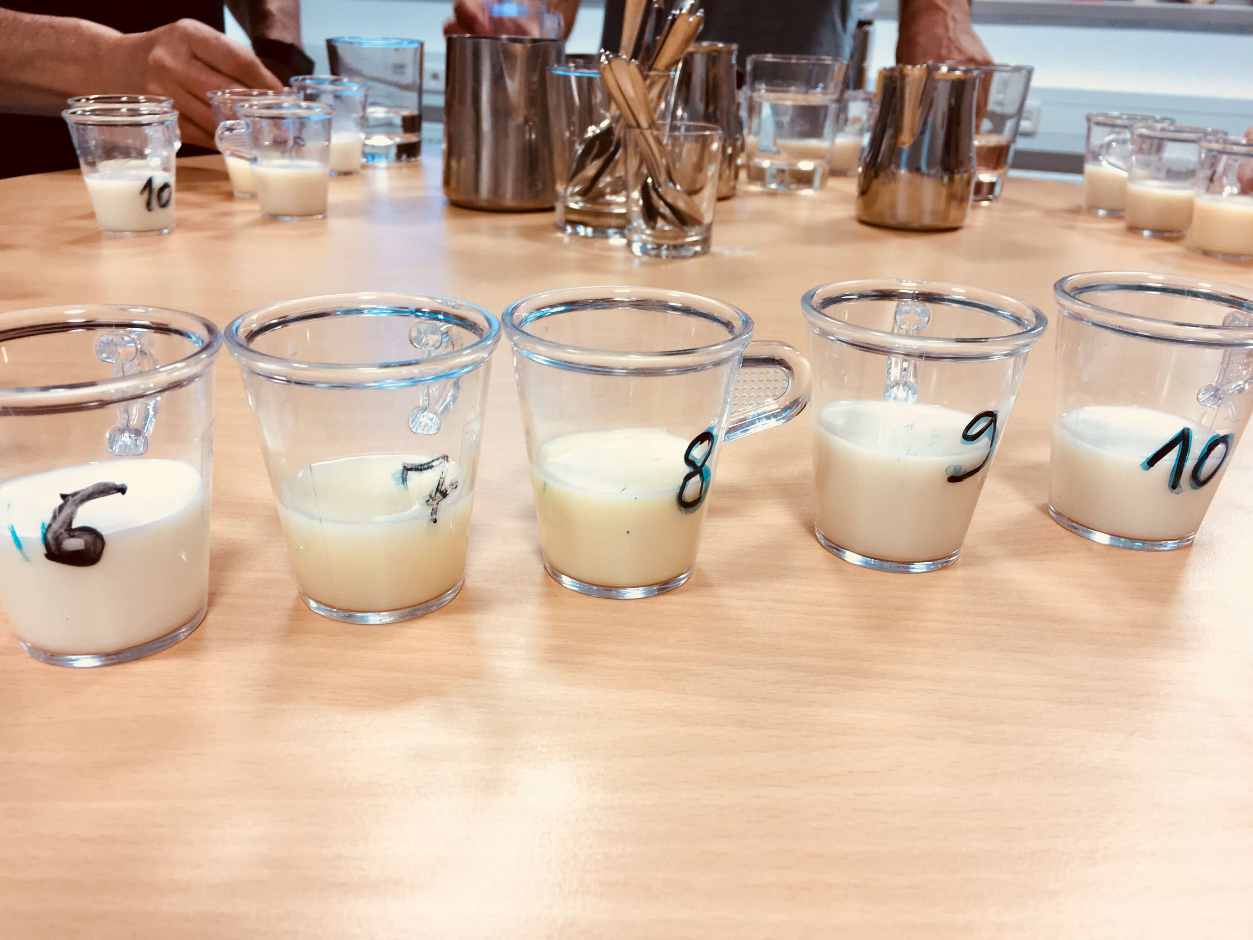 Barista Milch Seminar